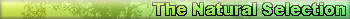 TheNaturalSelection
