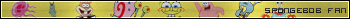 SpongeBob Fan