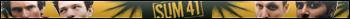 sum41