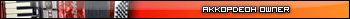 Akkordeon owner player