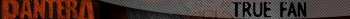 pantera_TRUEfan