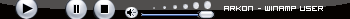 Winamp user